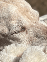 Today I Said&nbsp;Goodbye