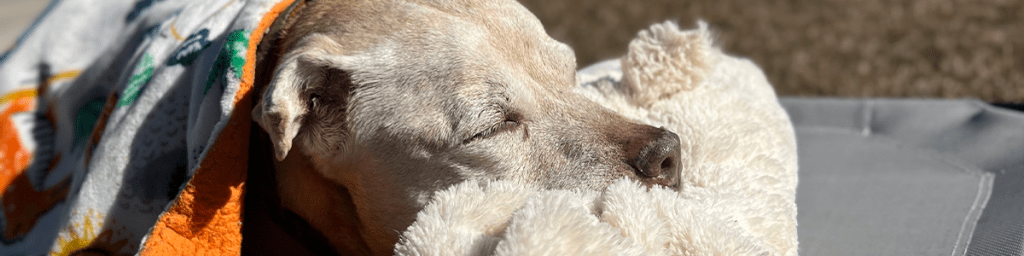 Today I Said&nbsp;Goodbye